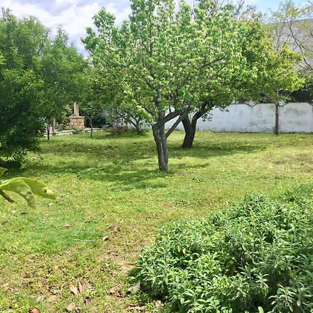 קסלבטה Salento Appartamenti מראה חיצוני תמונה