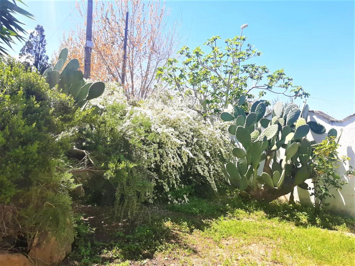 קסלבטה Salento Appartamenti מראה חיצוני תמונה