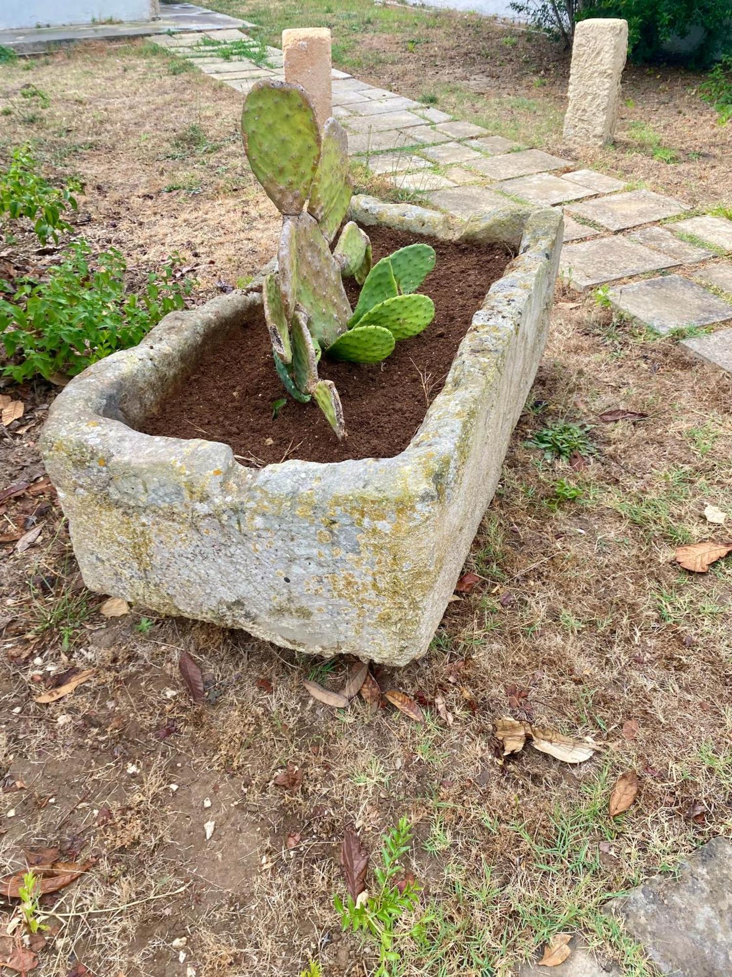 קסלבטה Salento Appartamenti מראה חיצוני תמונה