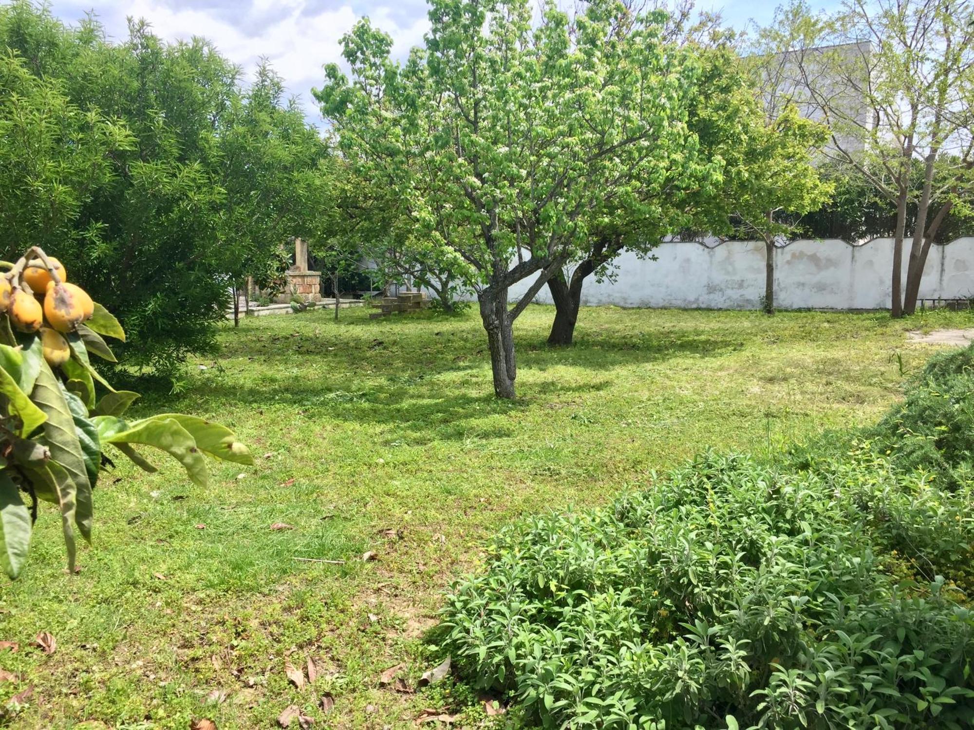 קסלבטה Salento Appartamenti מראה חיצוני תמונה