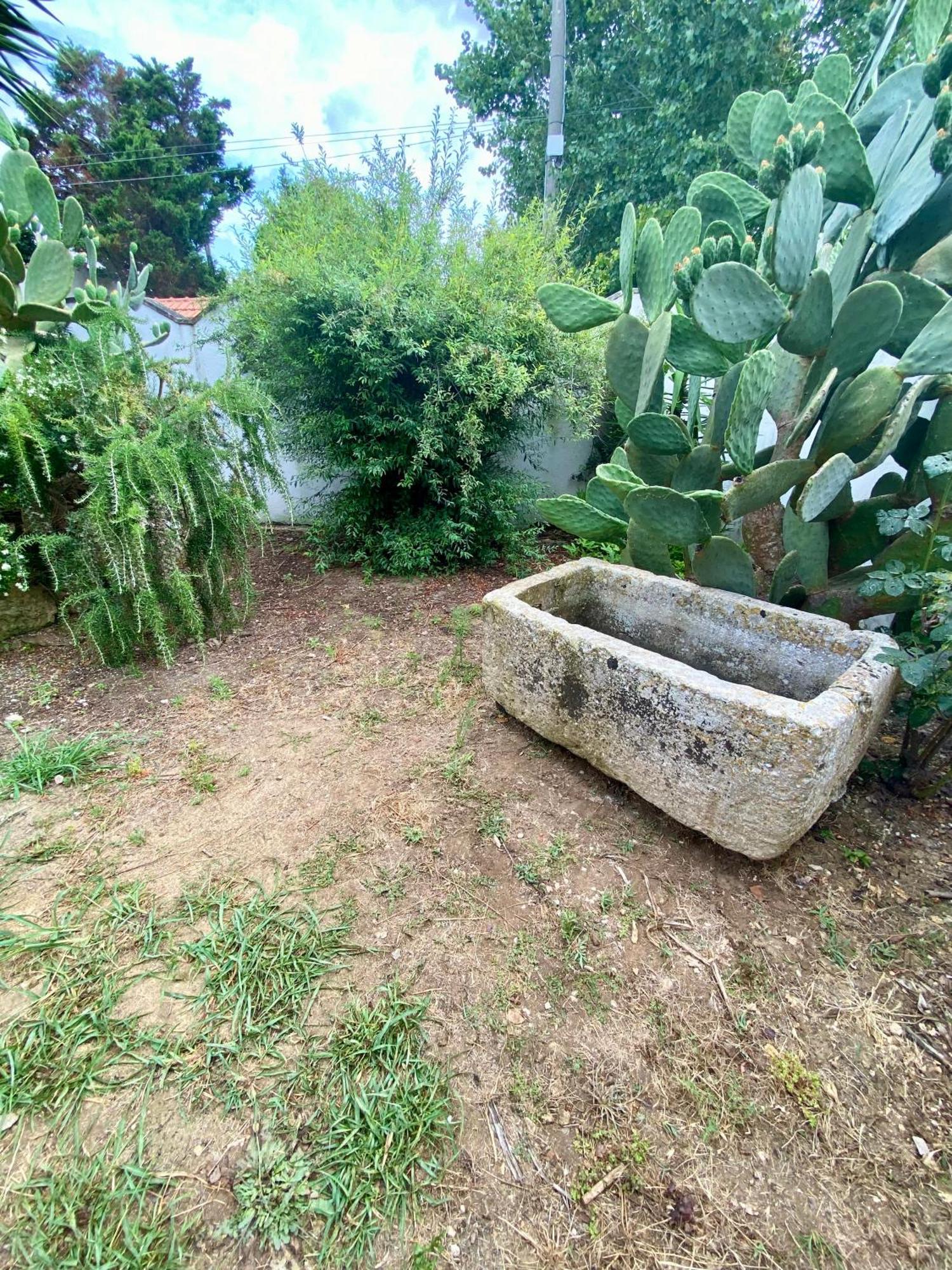 קסלבטה Salento Appartamenti מראה חיצוני תמונה