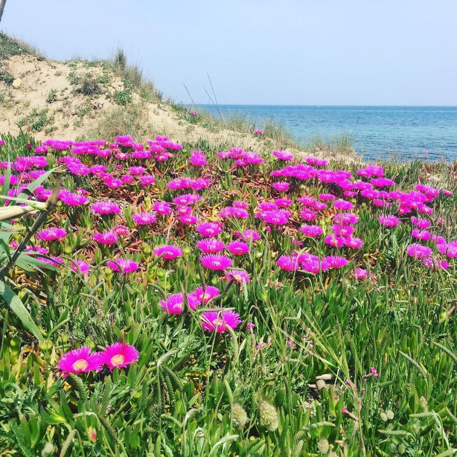 קסלבטה Salento Appartamenti מראה חיצוני תמונה